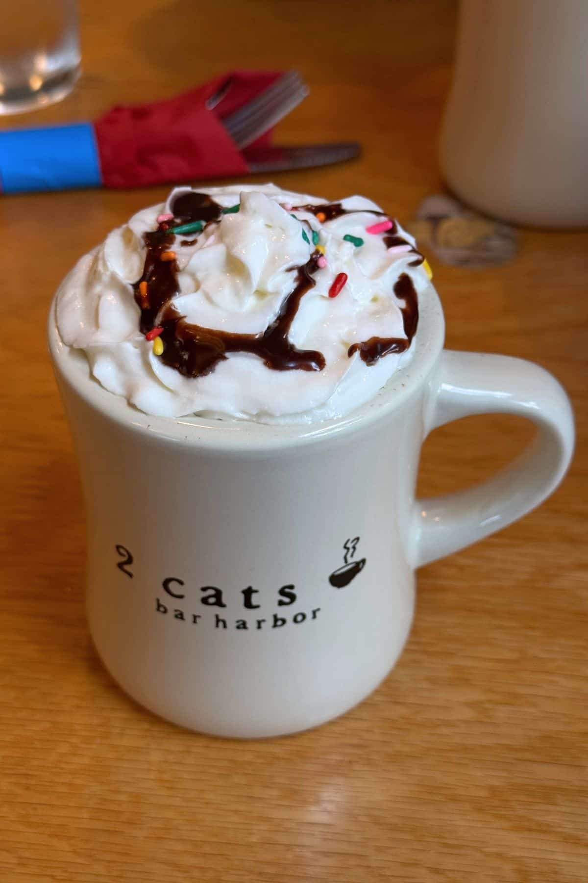 A mug labeled "2 cats bar harbor" filled with a drink topped with whipped cream, chocolate syrup, and colorful sprinkles sits on a wooden table—a cozy treat near Acadia National Park in September.