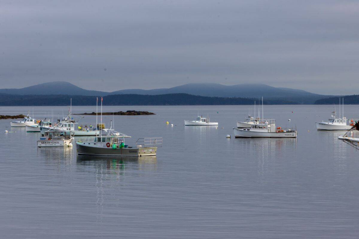 Several small fishing boats are anchored in calm water with distant hills and a cloudy sky in the background.