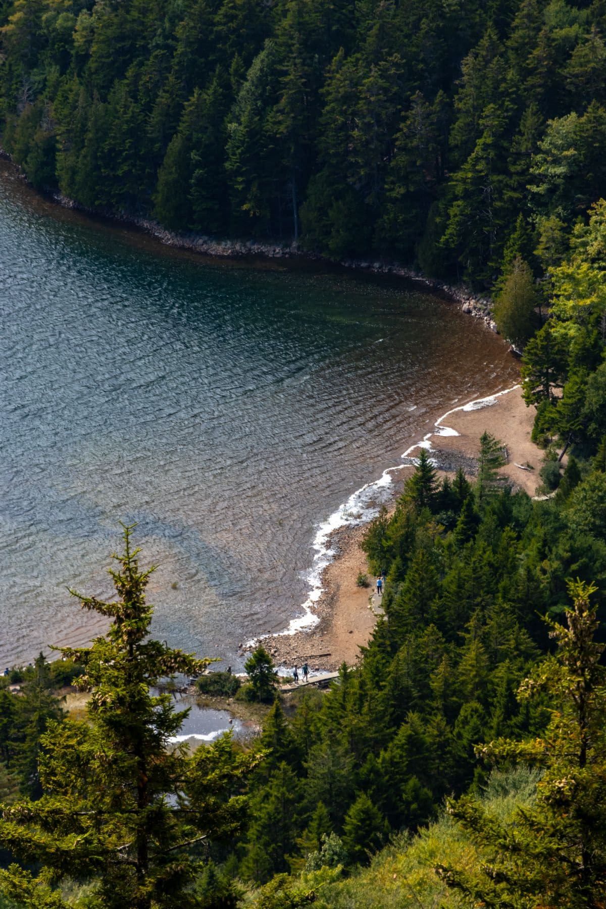 A curved shoreline meets a forested area, with gentle waves lapping onto a narrow sandy beach surrounded by dense trees.