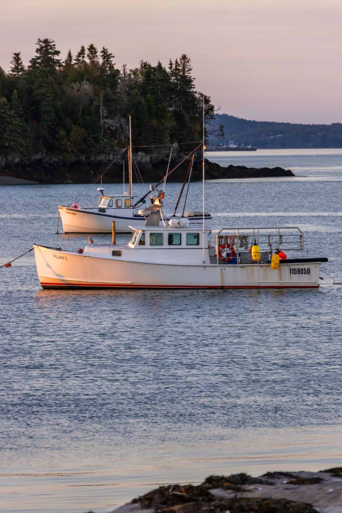 Two fishing boats with people on board float on calm water near a forested shoreline under a clear sky at sunset.