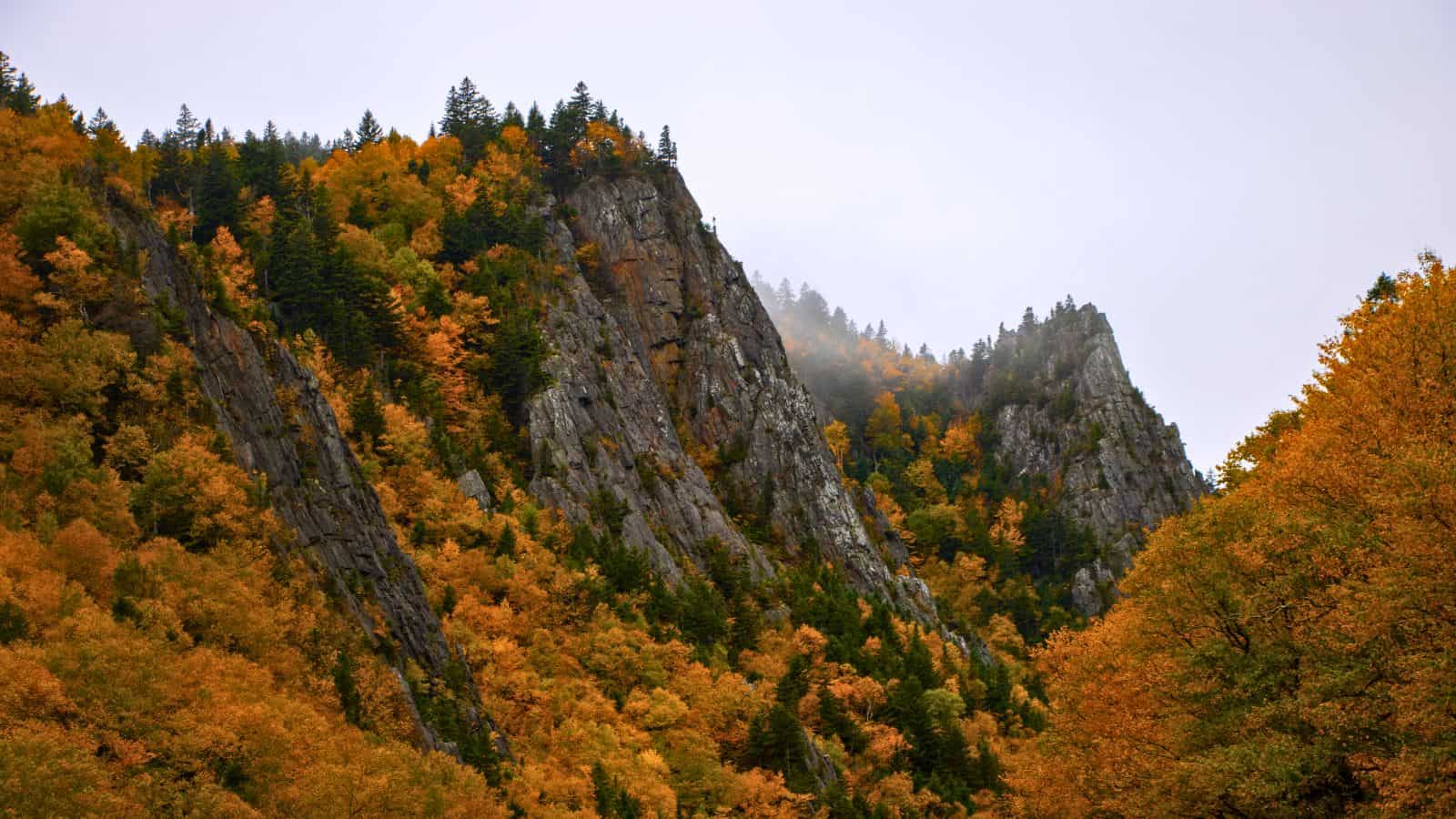 Steep, rocky mountain slopes covered in autumn foliage characteristic of a New England fall under a cloudy sky.