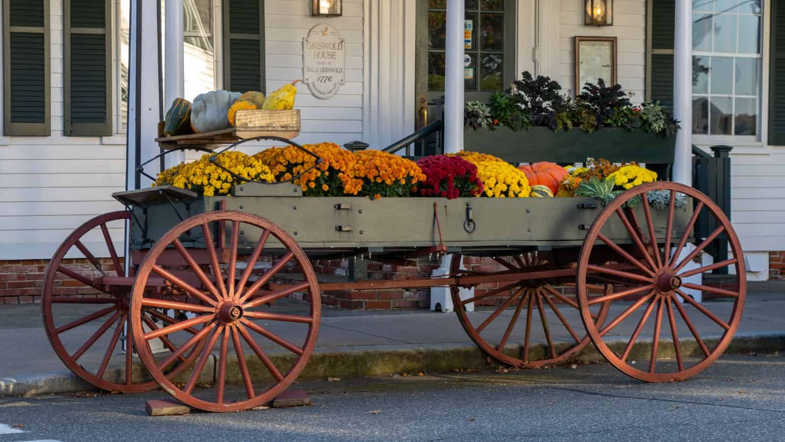 A wooden wagon with large red wheels holds colorful flowers, pumpkins, and gourds, parked on a street in front of a white building with green shutters.