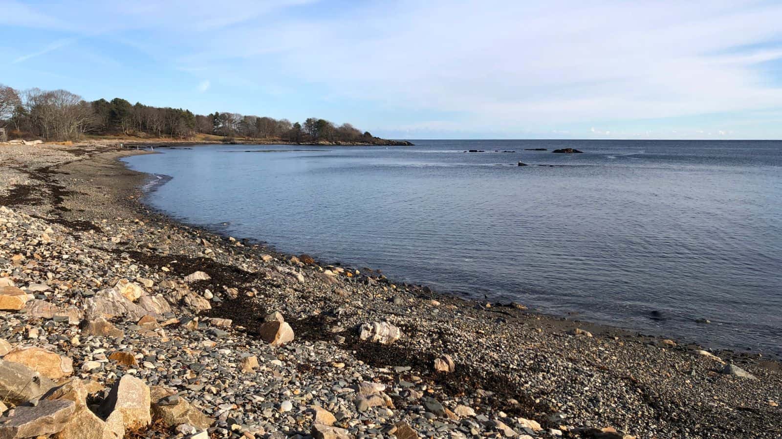 Rocky shoreline with scattered stones and sparse seaweed, calm water, and a distant treeline under a partly cloudy sky.