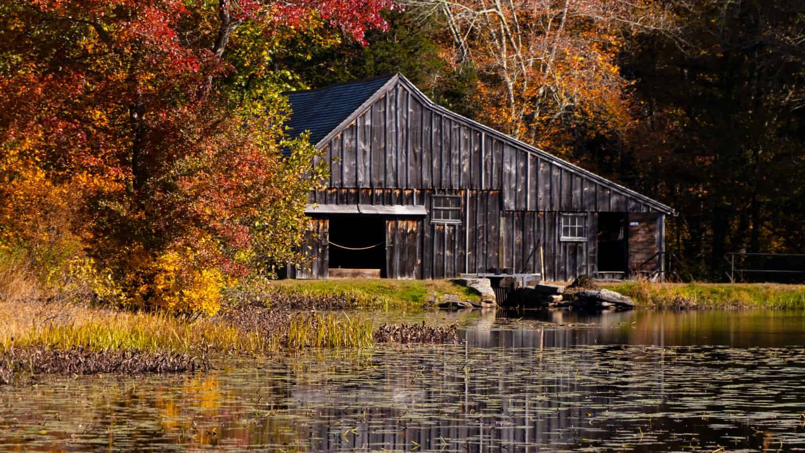 A rustic wooden barn stands by a pond surrounded by autumn trees with red, orange, and yellow foliage.