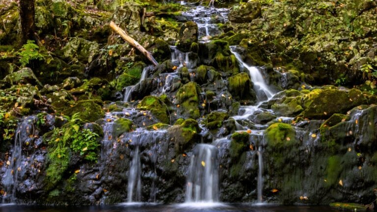 A small waterfall flows over moss-covered rocks in a forest, with scattered leaves and greenery surrounding the scene.