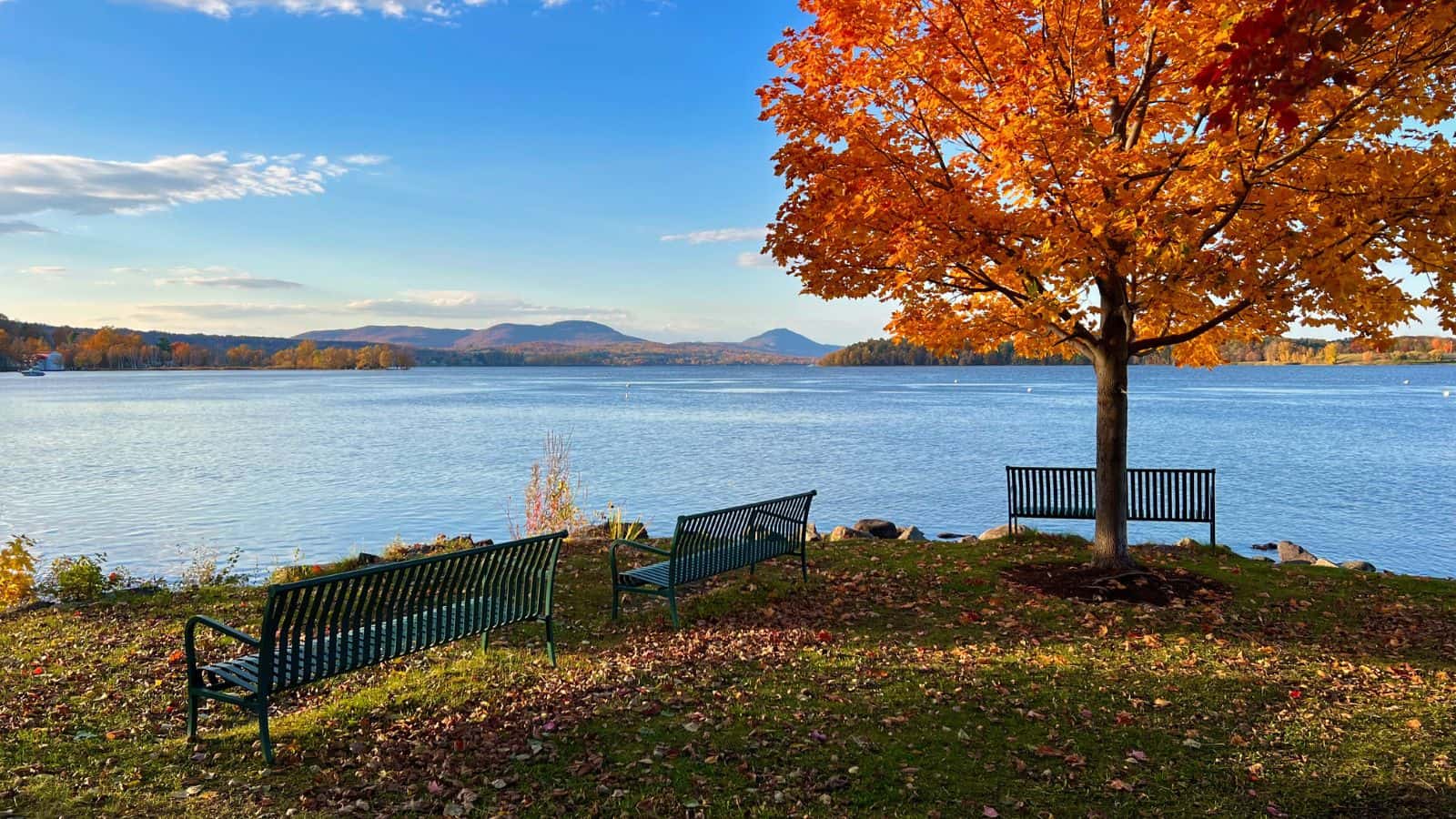 Three empty benches face a calm lake with mountains in the background; a tree with orange autumn leaves stands to the right under a clear sky.