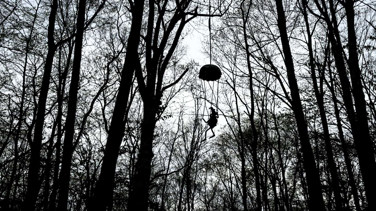A person with a parachute descends through tall, leafless trees in a forest, silhouetted against the sky.