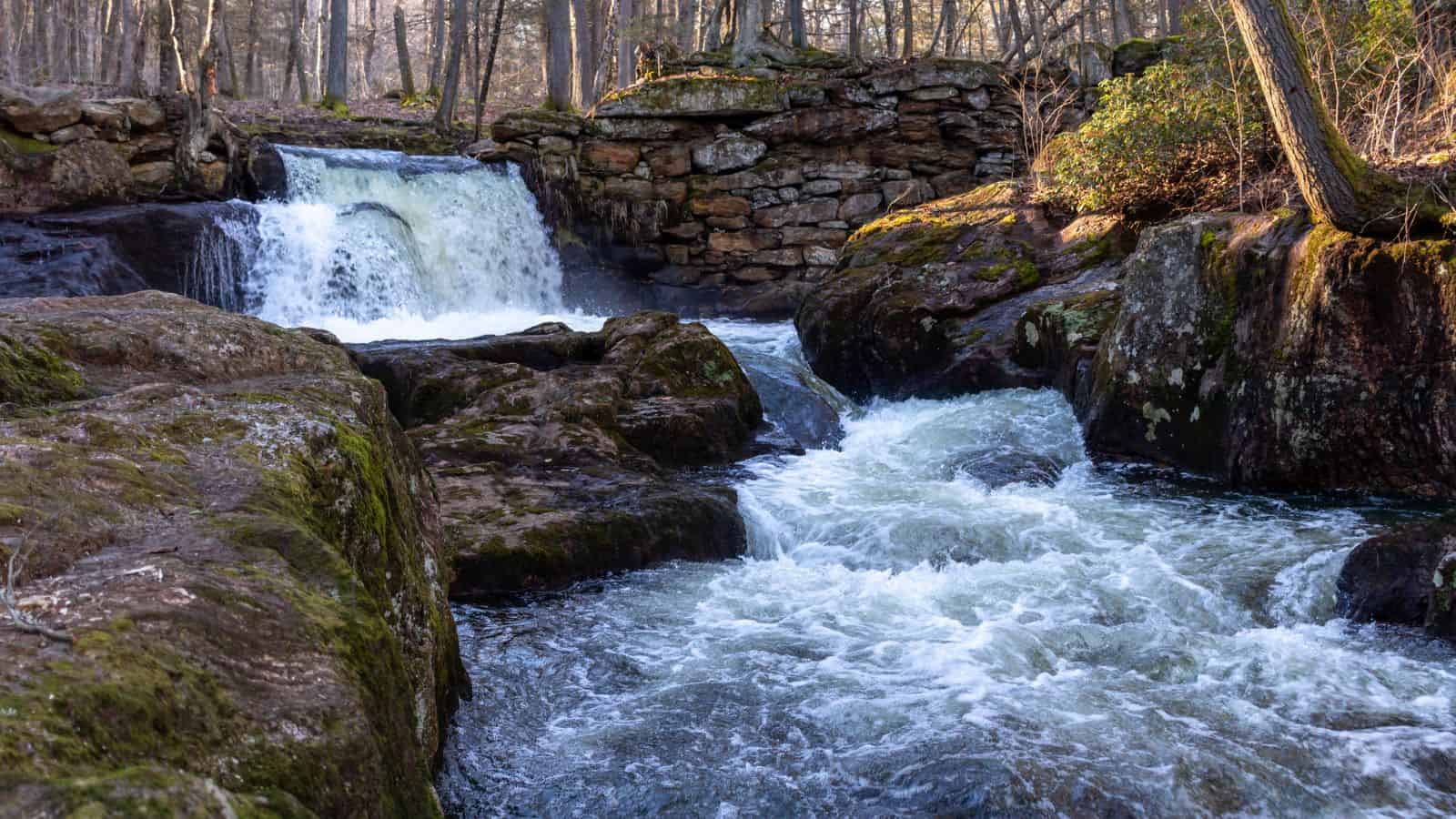 A small waterfall flows over rocks into a fast-moving stream surrounded by mossy stones and trees in a forest setting.