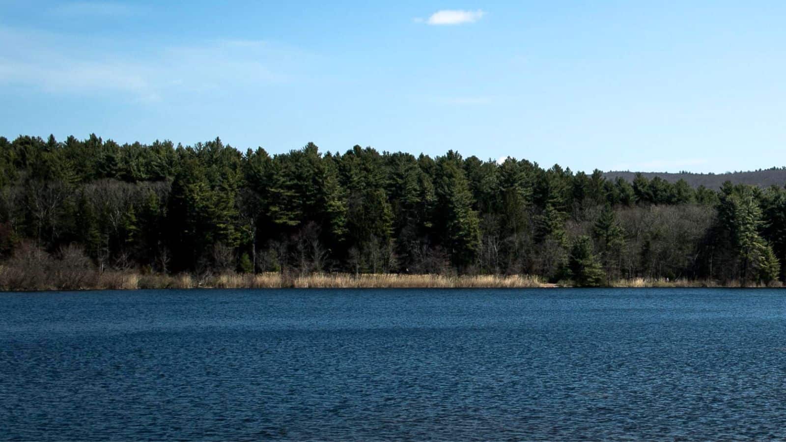 A calm blue lake stretches across the foreground with a dense line of evergreen trees and a clear blue sky in the background.