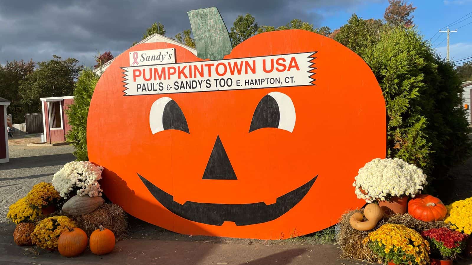 Large wooden jack-o'-lantern sign reads "Pumpkintown USA" at Paul’s & Sandy’s Too in East Hampton, CT. Surrounded by mums, pumpkins, and gourds with trees in the background.