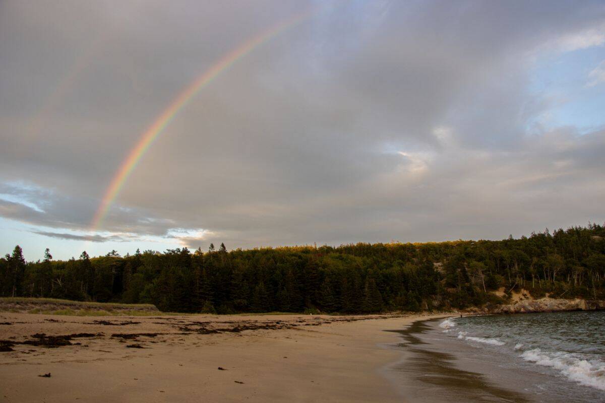 A beach with light waves, a sandy shore, and seaweed. A rainbow arcs across a cloudy sky above a forested treeline.