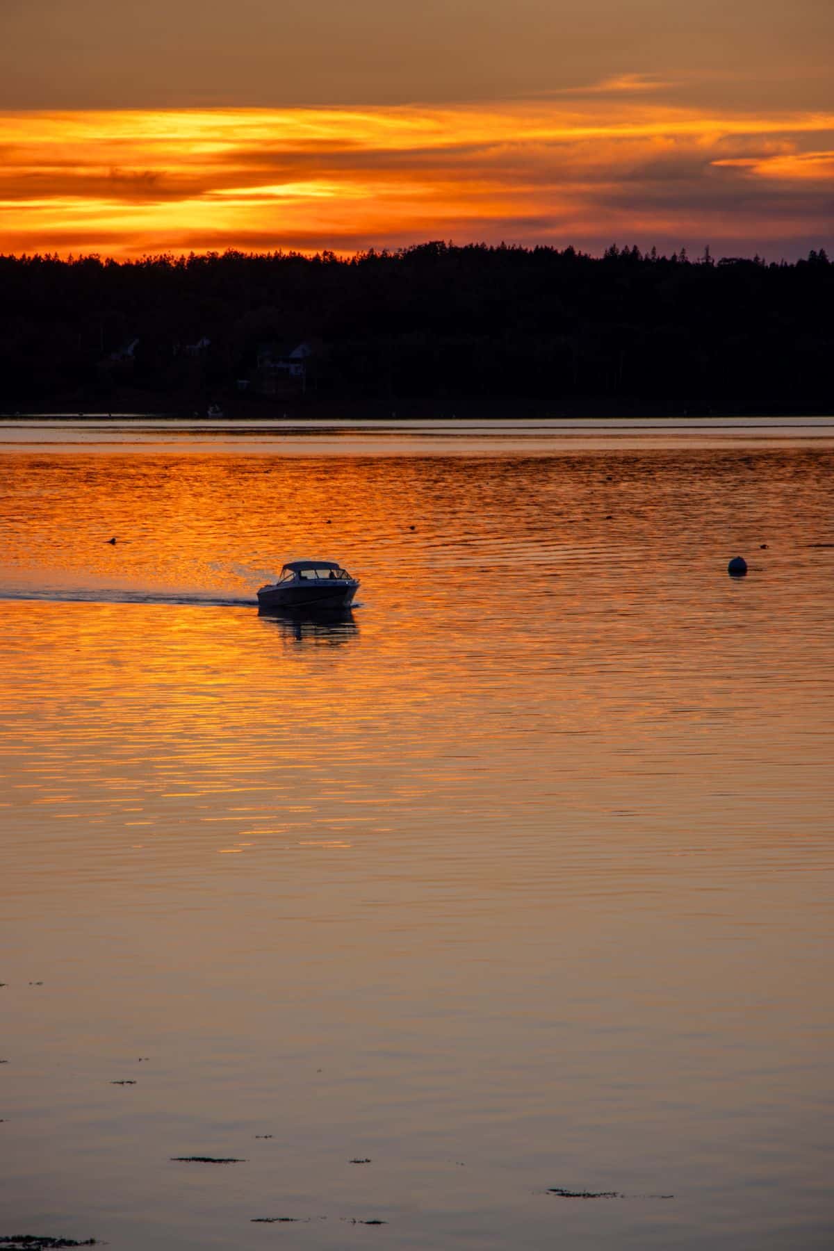 A small motorboat moves across calm water at sunset, with orange and yellow hues reflecting on the lake and a tree line visible in the background.