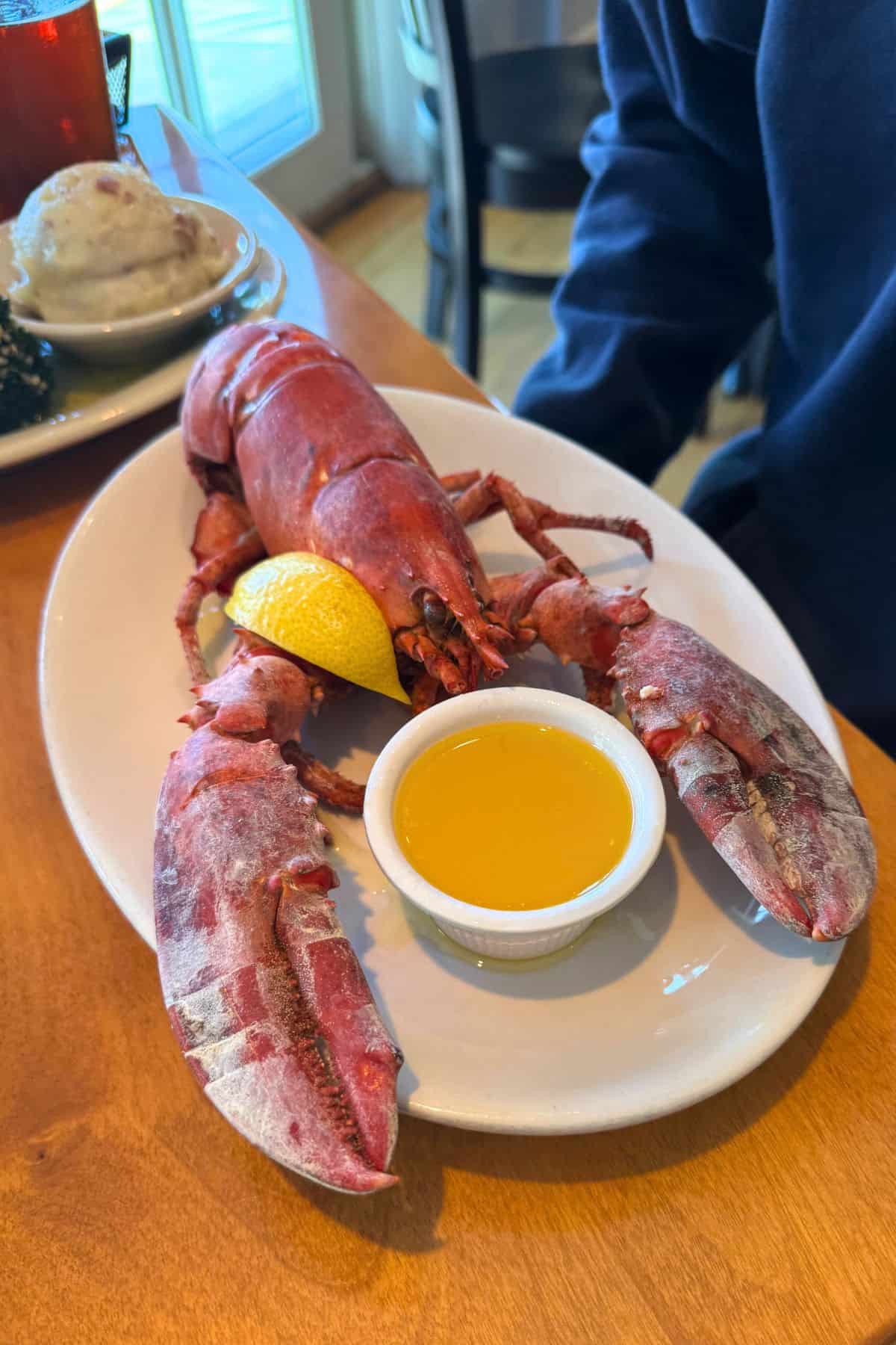 A whole cooked lobster is served on a white plate with a lemon wedge and a small dish of melted butter. Mashed potatoes are visible in the background.