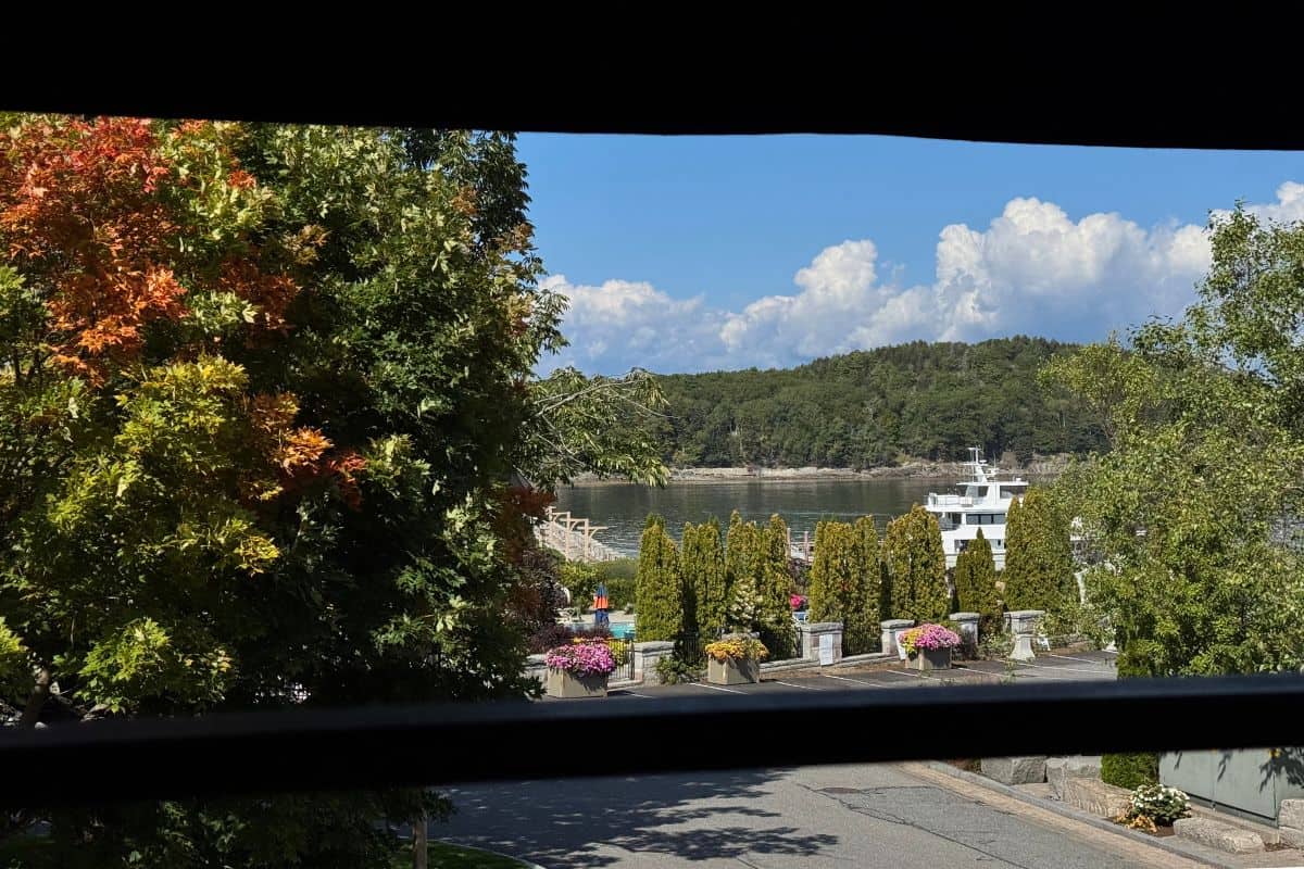 View through a window showing a tree with autumn leaves, a body of water, a docked ferry, and distant green hills under a partly cloudy sky.