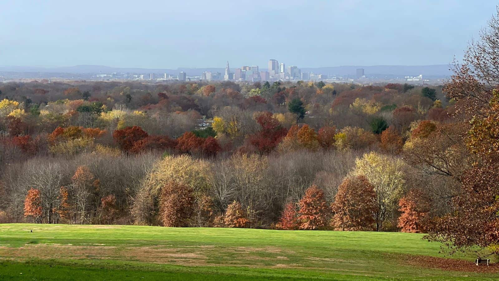 A city skyline is seen in the distance beyond a large expanse of autumn-colored trees and a grassy field in the foreground.