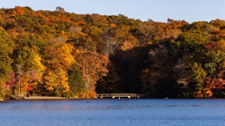 A wooden dock extends into a calm lake, surrounded by a dense forest with autumn foliage in shades of orange, yellow, and red.