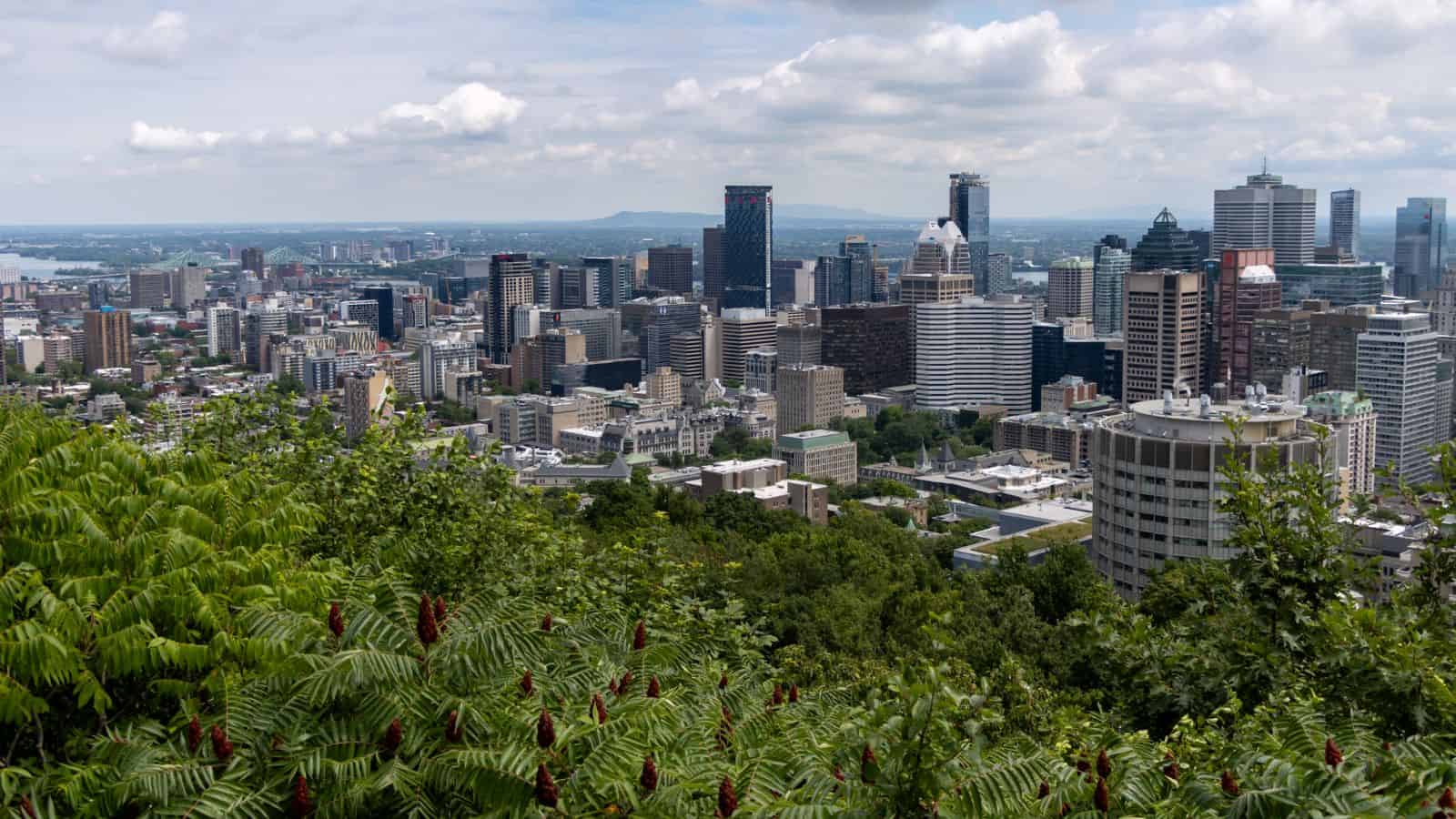 A city skyline with tall buildings and skyscrapers seen from a hill with green foliage in the foreground under a partly cloudy sky.
