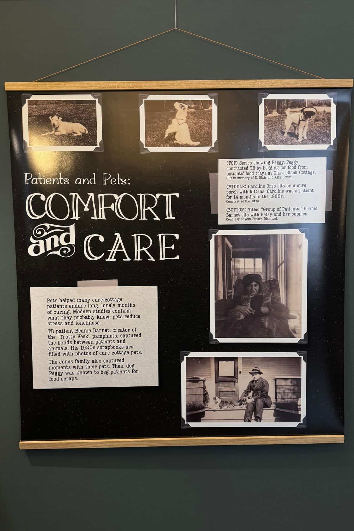 Display board titled "Patients and Pets: Comfort and Care" with black-and-white photos of people and dogs in Saranac Lake, plus text describing pets comforting hospital patients.