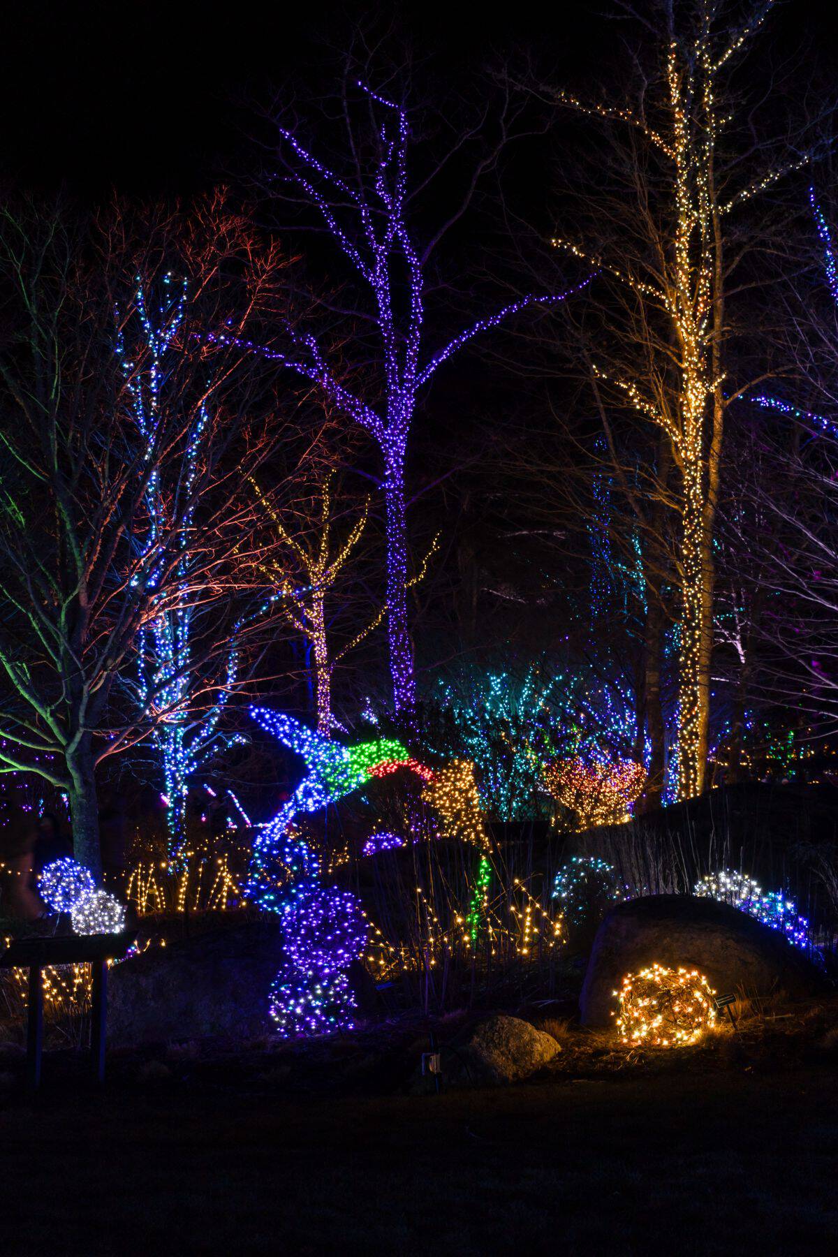 Trees and bushes are decorated with multicolored string lights at night, including a lit hummingbird figure and glowing orbs on the ground.