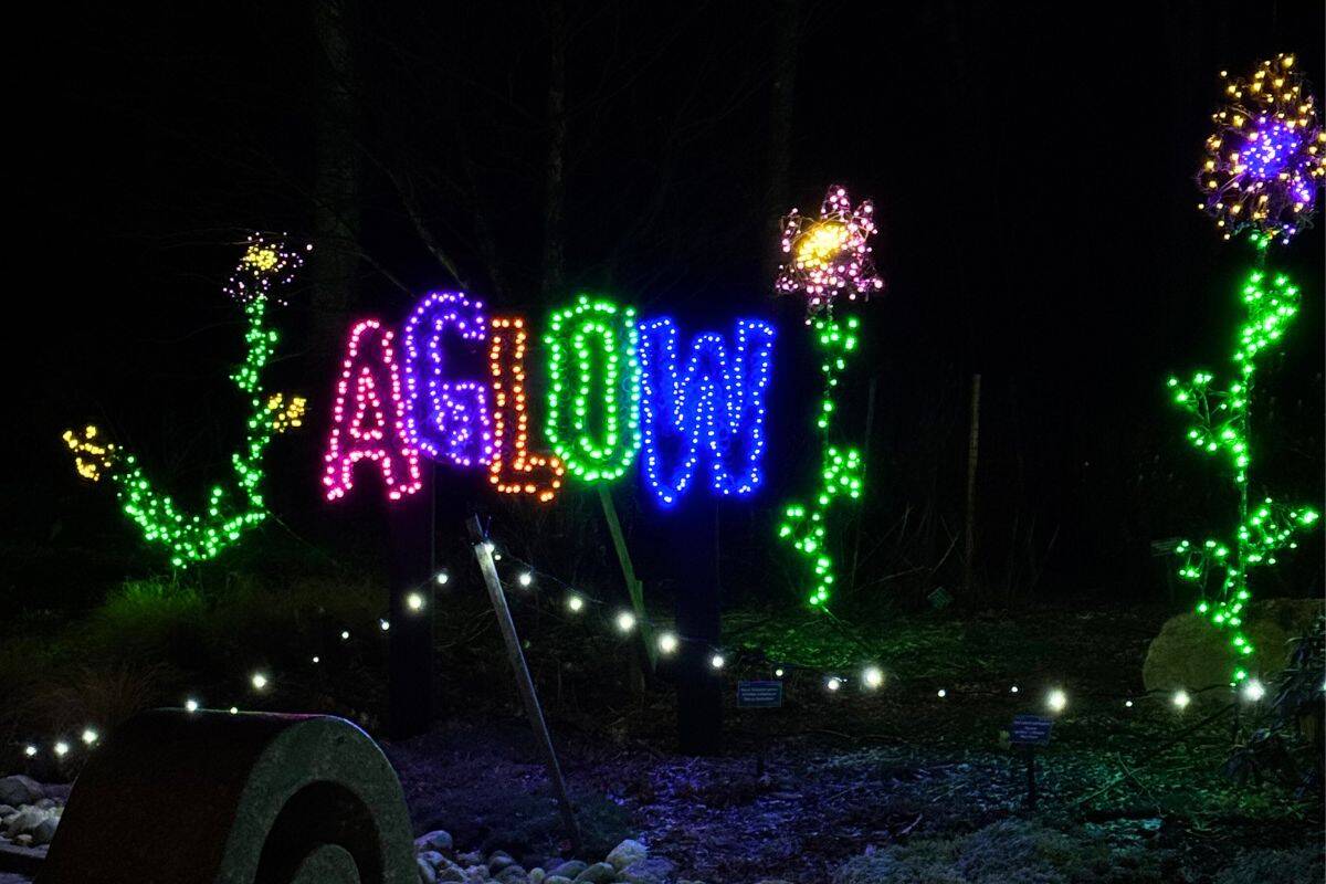 Colorful LED lights spell out "AGLOW" with flower-shaped displays on either side, creating a magical nighttime scene inspired by Gardens Aglow at Coastal Maine Botanical Gardens.