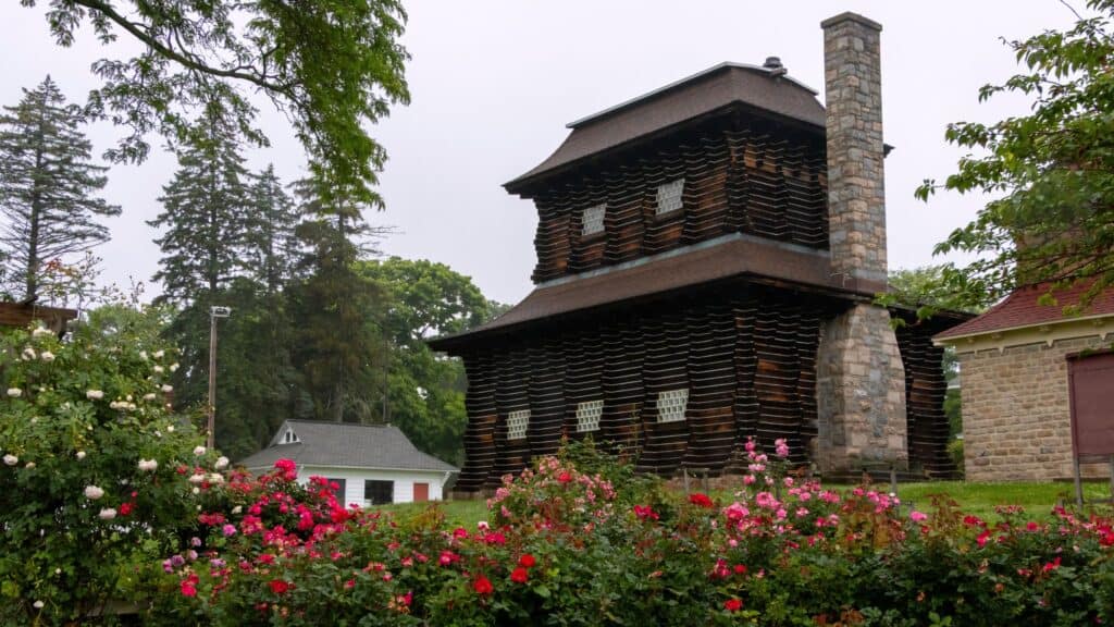 A historic two-story log building with a stone chimney, surrounded by blooming rose bushes and trees, on an overcast day.