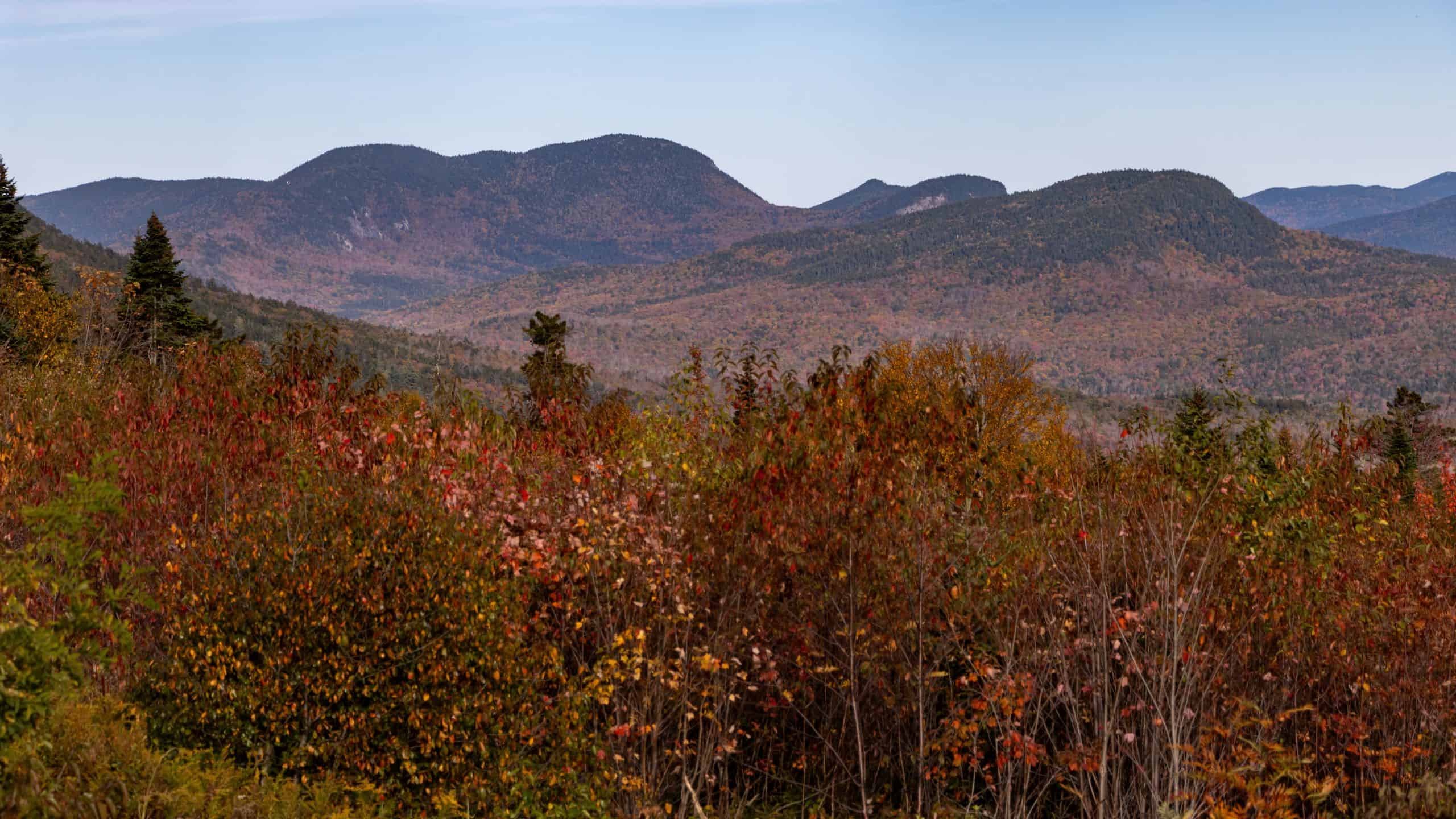 Scenic view of rolling mountains under a blue sky with colorful autumn foliage in the foreground.