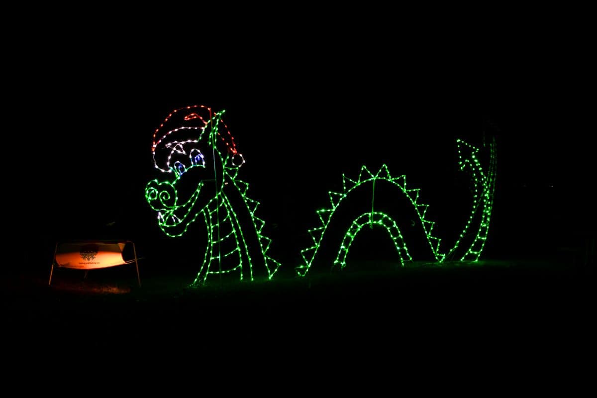 A dragon outline made of green holiday lights, wearing a red and white Santa hat, is displayed against a dark night background.