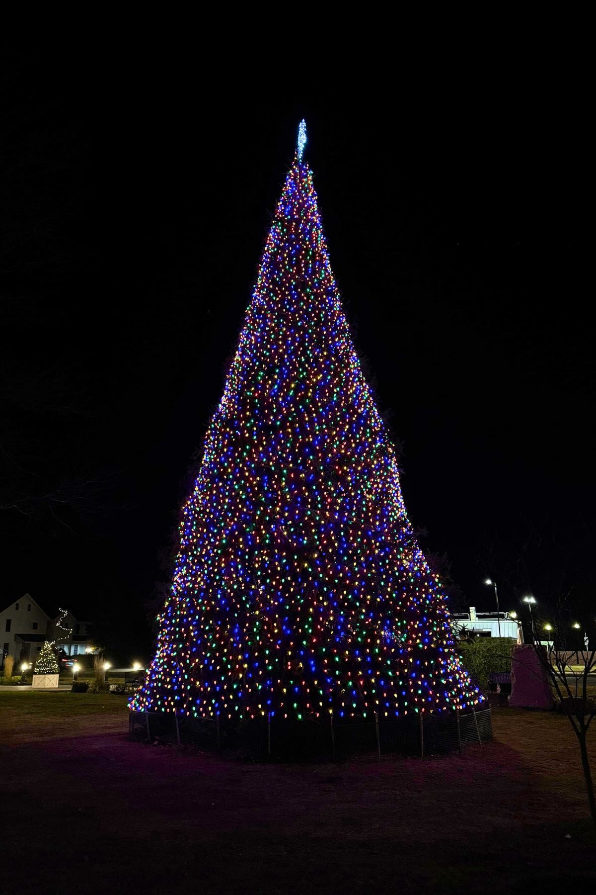 A large outdoor Christmas tree is decorated with multicolored lights and a blue topper, standing in a dark park area at night.