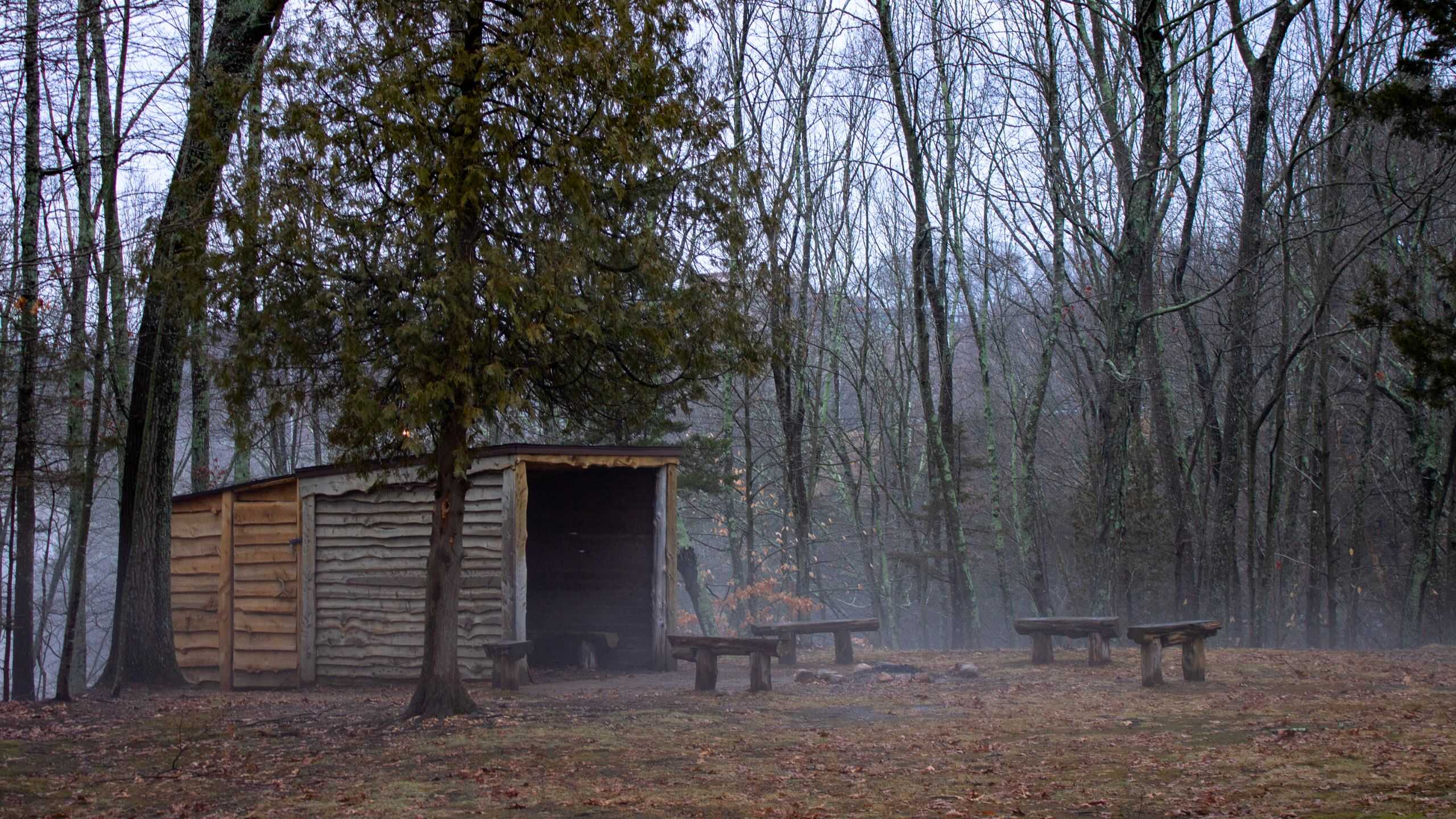 A small wooden shelter with an open front stands in a clearing surrounded by bare trees, with several rustic benches arranged nearby.