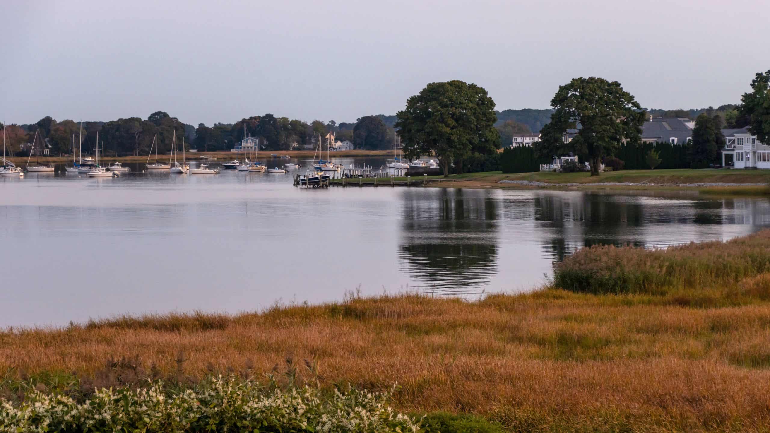 Calm shoreline with boats docked in the water, houses along the coast, and grassy marshland in the foreground under a clear sky.