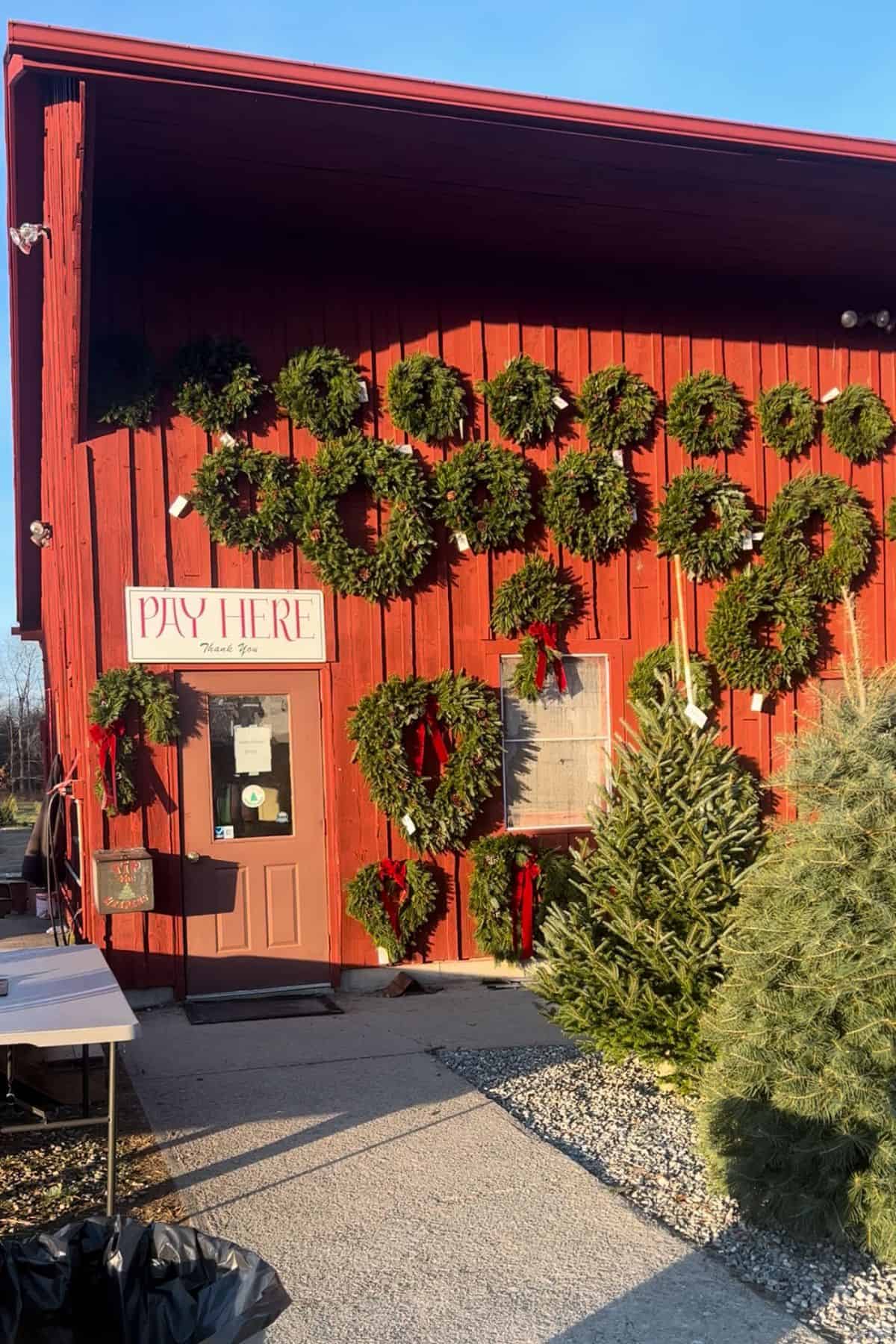A red wooden building at Geer Tree Farm displays green wreaths on the wall, a "Pay Here" sign above the door, and several Christmas trees outside in sunlight.