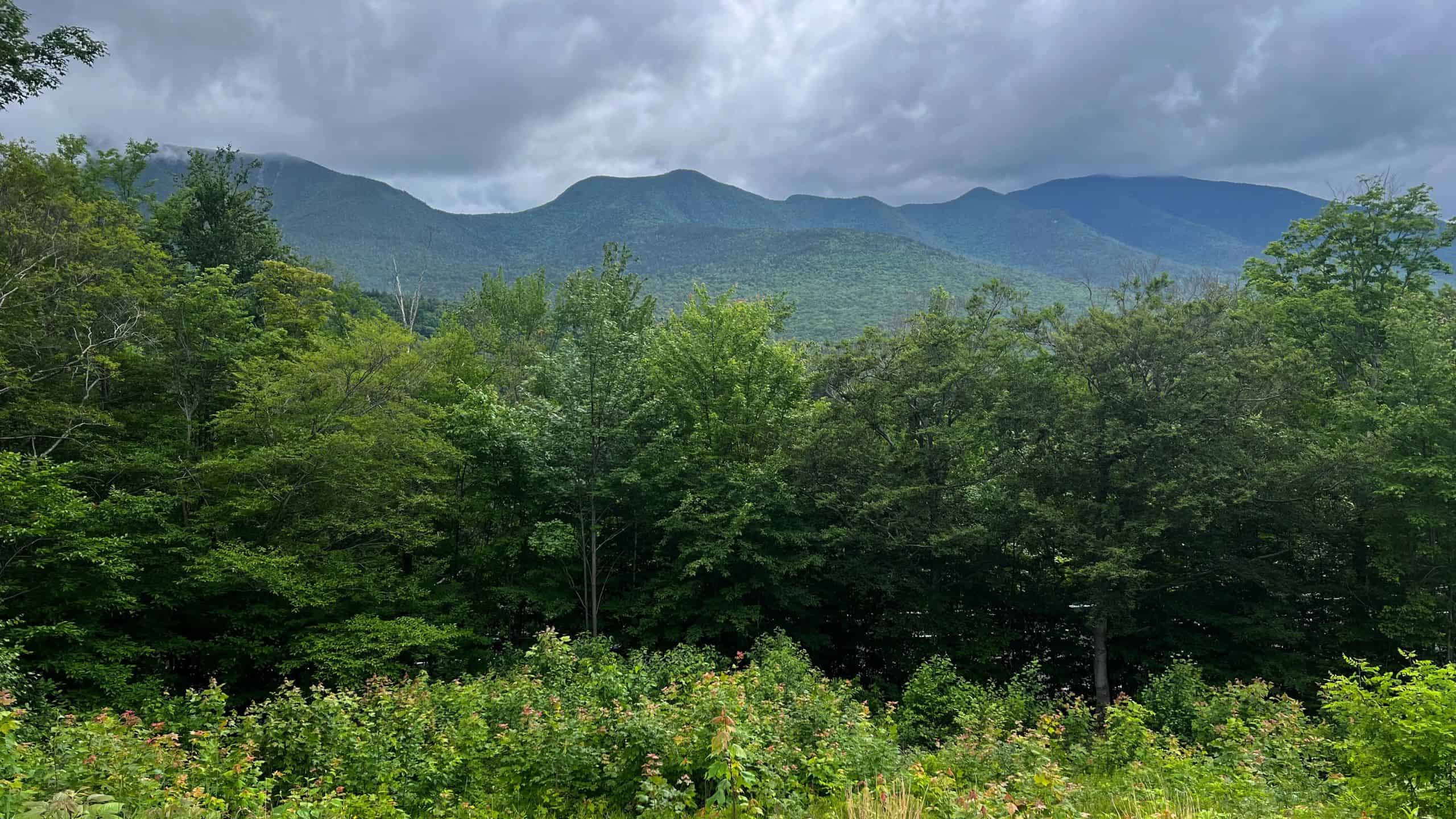 Dense green trees and shrubs in the foreground frame a range of forested mountains under a cloudy sky along the scenic Kancamagus Highway.