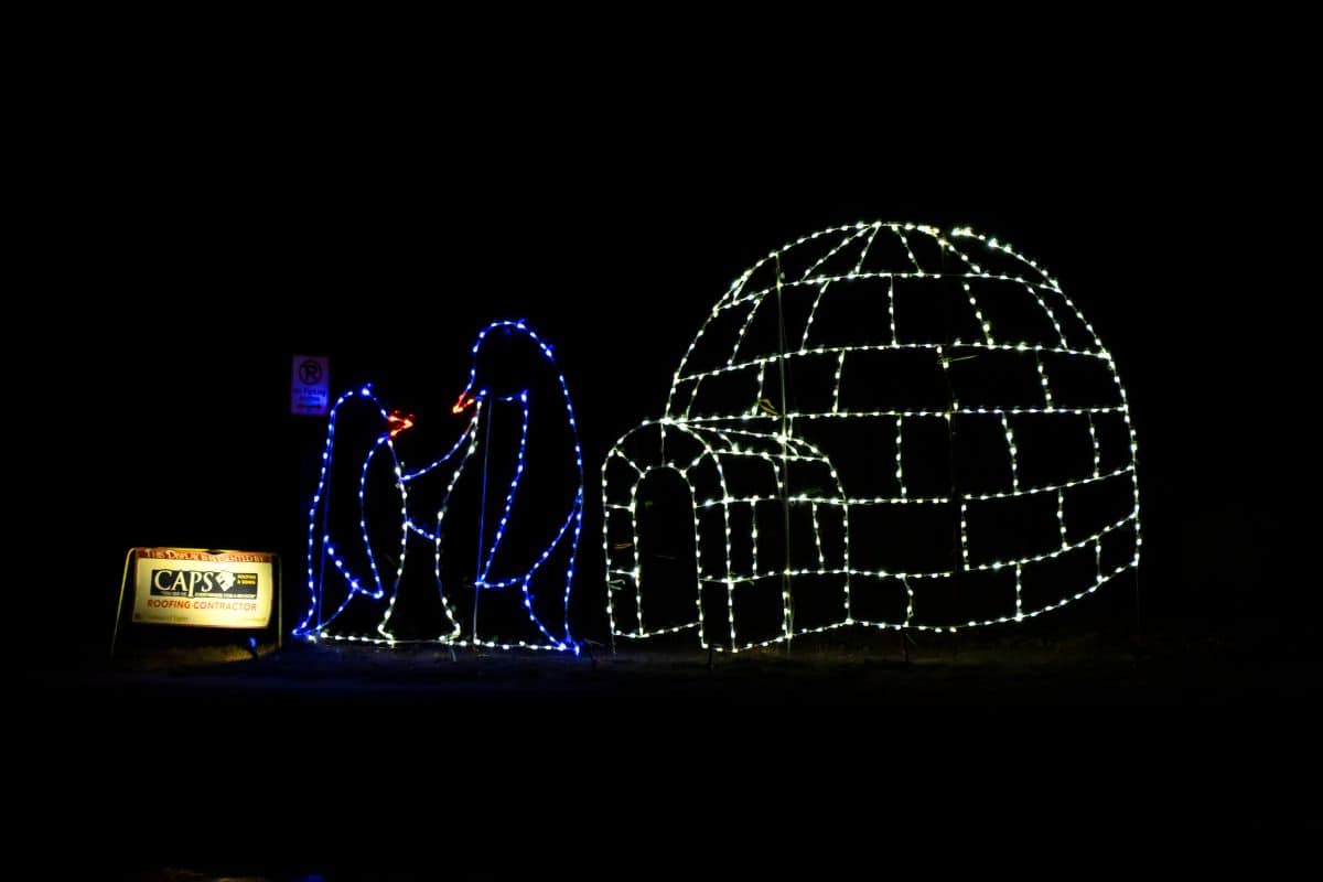 Holiday light display showing two penguins and an igloo, illuminated against a dark background, with a sponsor sign on the left.