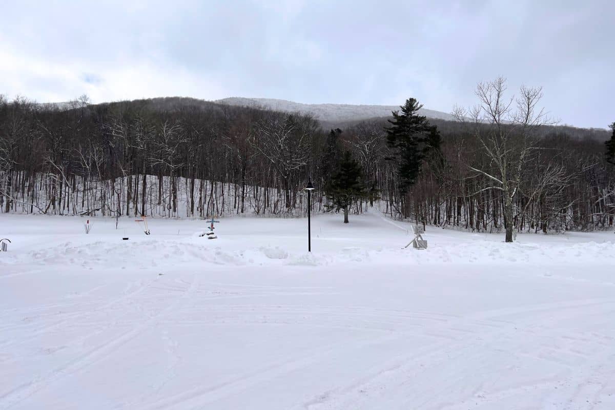A snowy landscape with a flat, open area in the foreground, leafless trees, a few scattered evergreens, and wooded hills in the distance under a cloudy sky.