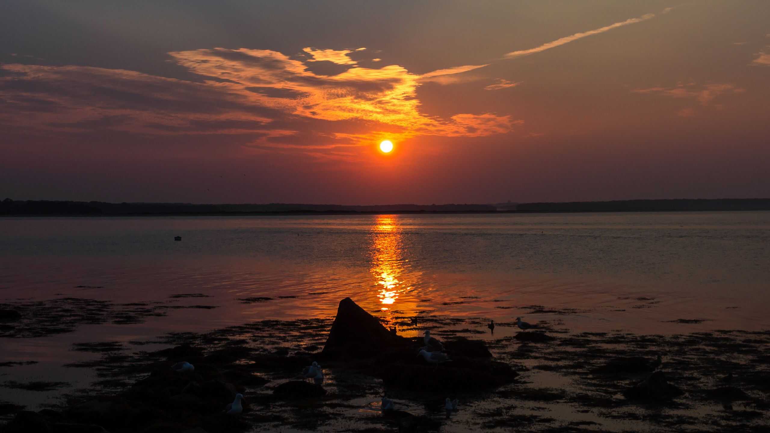 The sun sets over a calm body of water, casting an orange reflection. Clouds are scattered in the sky and some rocks and birds are visible in the foreground.