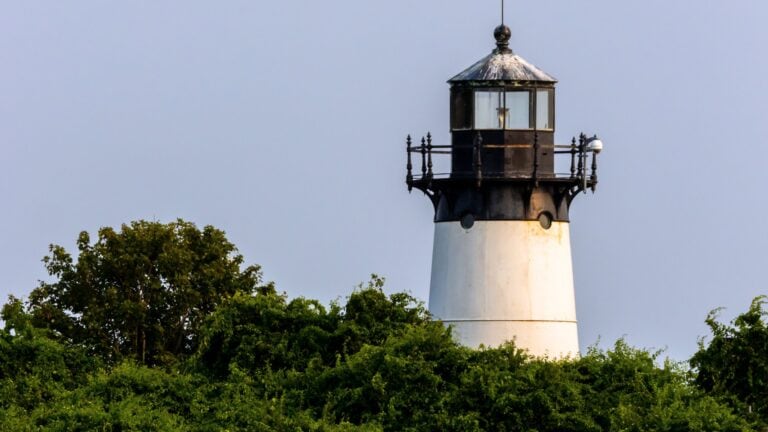 A white lighthouse with a black lantern room rises above green bushes and trees against a clear blue sky.