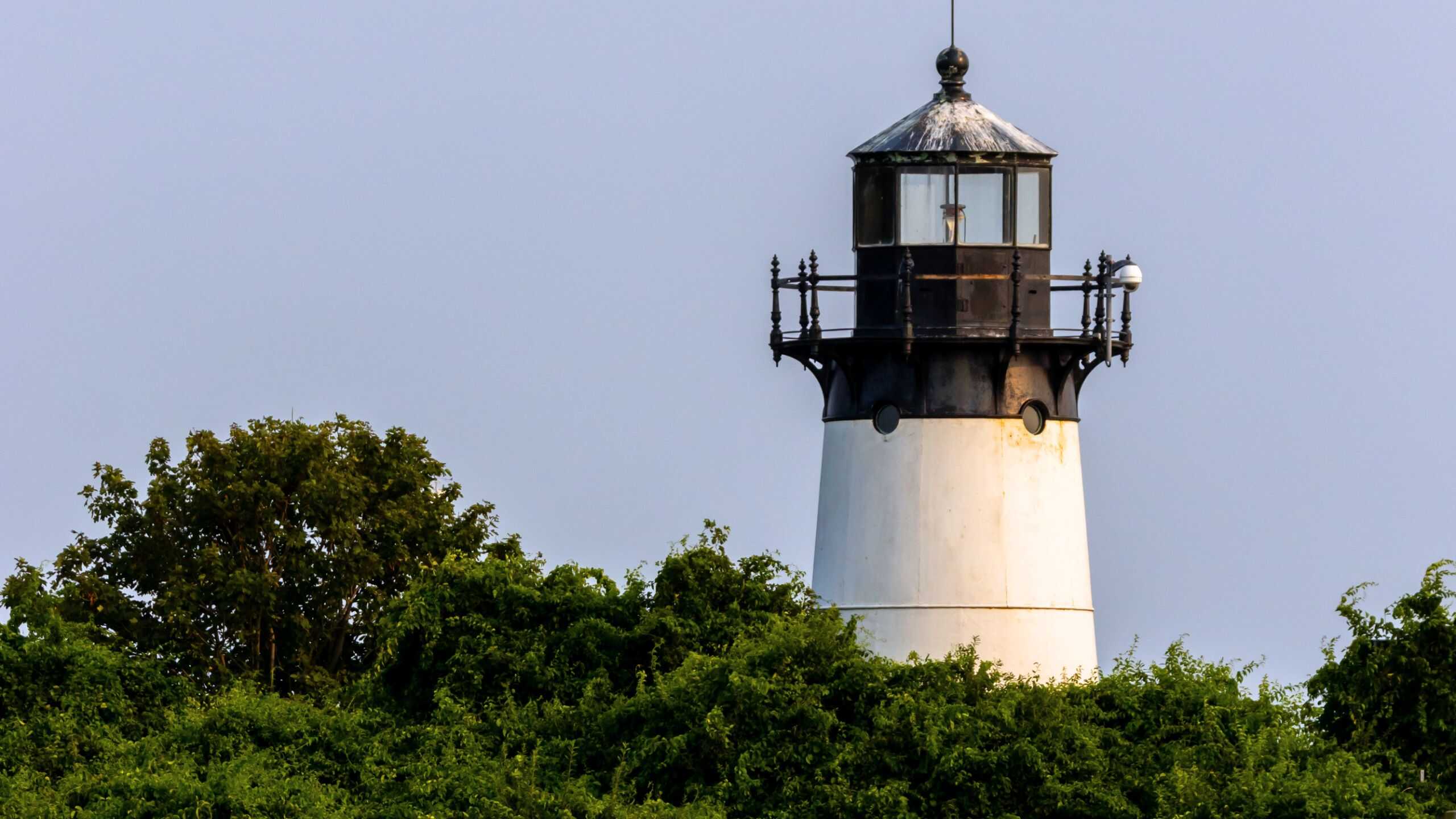 A white lighthouse with a black lantern room rises above green bushes and trees against a clear blue sky.