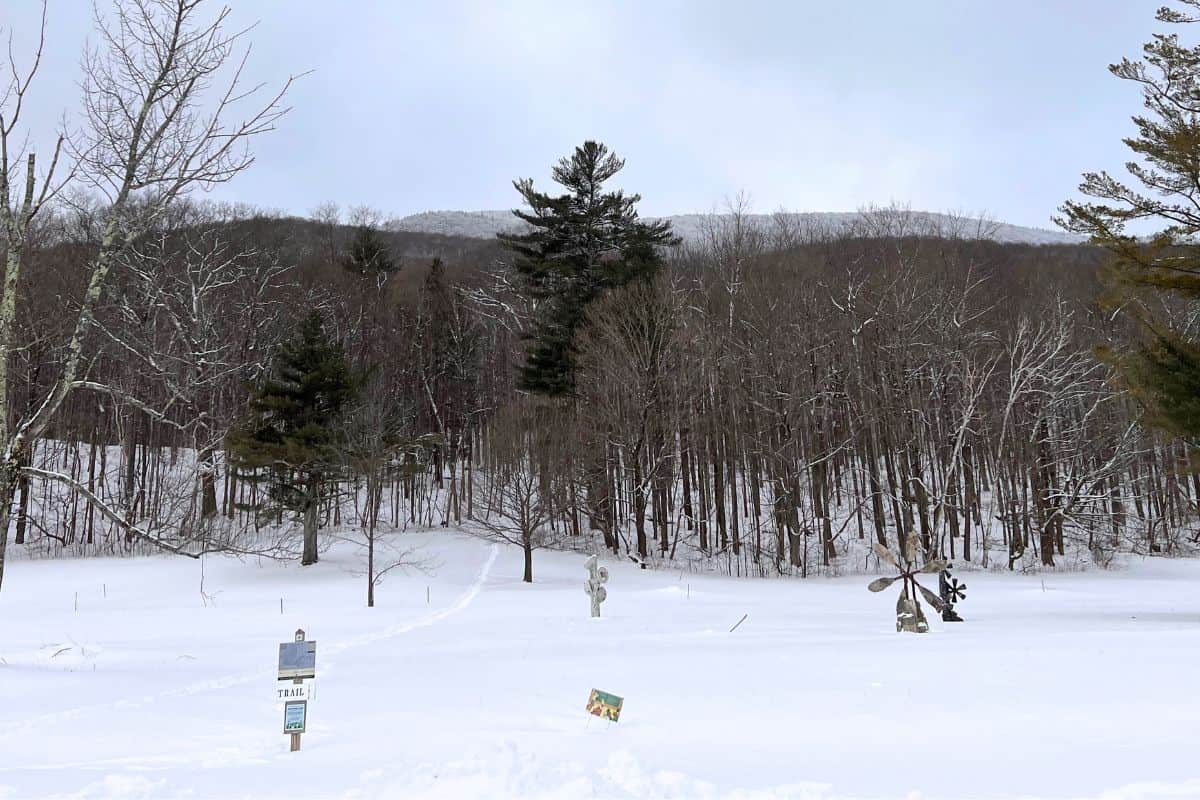 Snow-covered field with scattered sculptural artworks in front of leafless trees and mountains, under an overcast sky. Several signs are visible in the foreground.