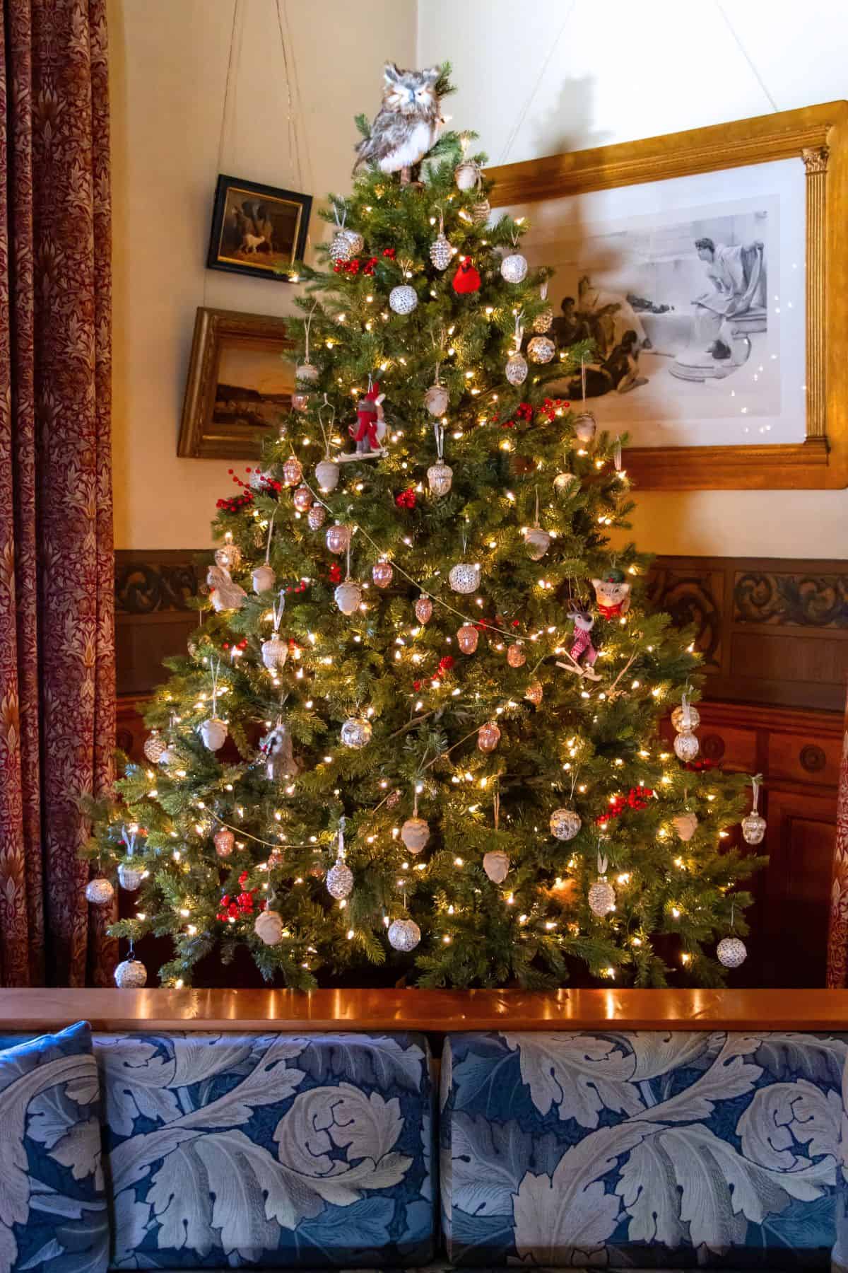 A decorated Christmas tree with white lights, silver and red ornaments, and an owl on top stands in a room with framed pictures and patterned blue and white couch cushions in front.