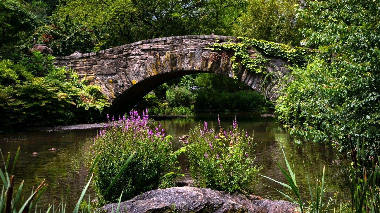 A stone arch bridge covered in greenery crosses over a pond, surrounded by lush trees and flowering plants.
