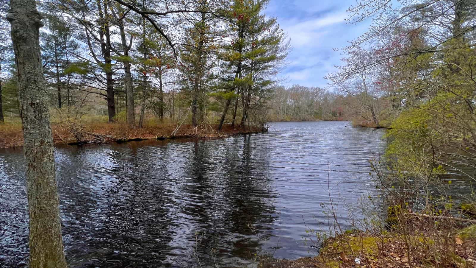 A calm river surrounded by trees with sparse spring foliage under a partly cloudy sky.