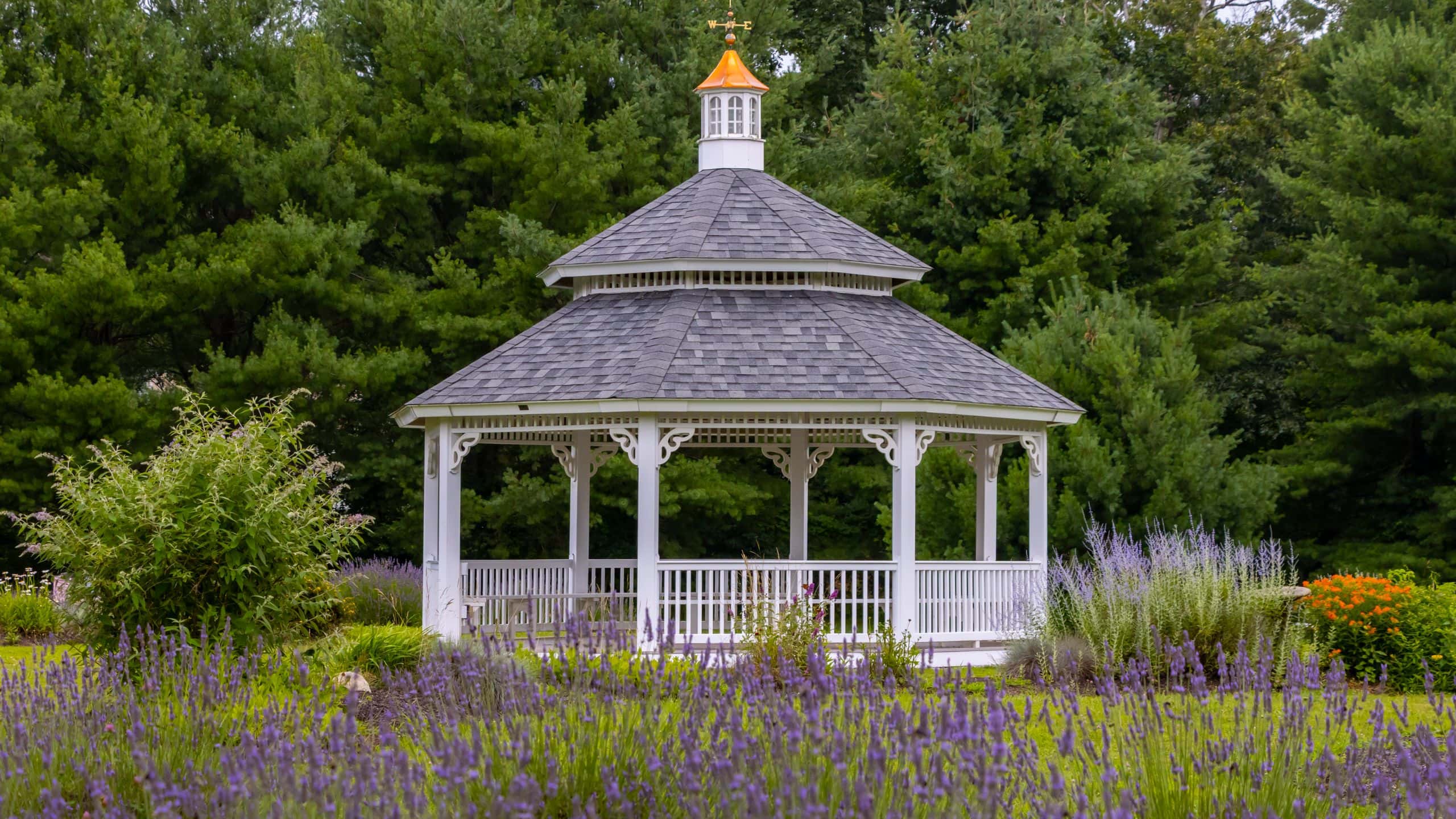 A white gazebo with a shingled roof stands in a garden surrounded by purple flowers and green trees.