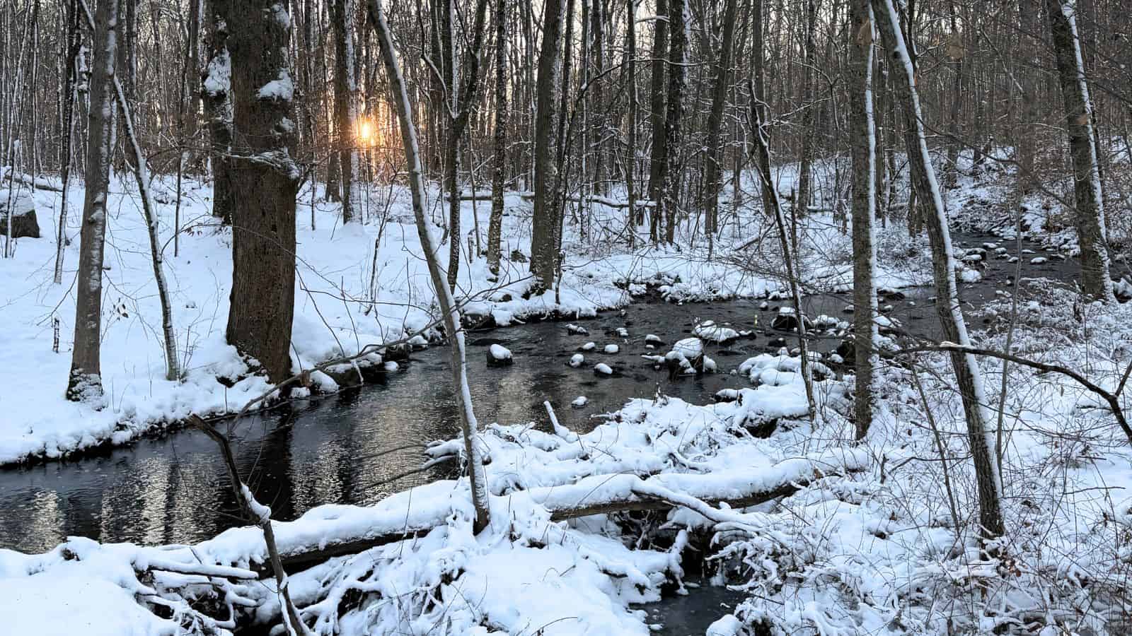 A snowy forest with a stream running through it, bare trees, and the sun setting in the background.