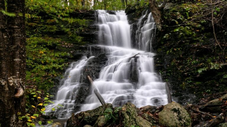 A multi-tiered waterfall flows over rocks in a forested area, surrounded by green foliage and moss-covered stones.