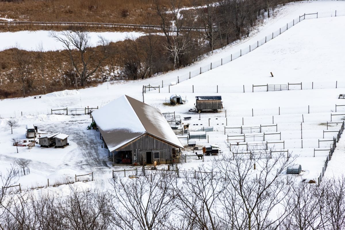 A snow-covered farm with a barn, animal enclosures, and scattered equipment, surrounded by fenced areas and trees in a winter landscape.