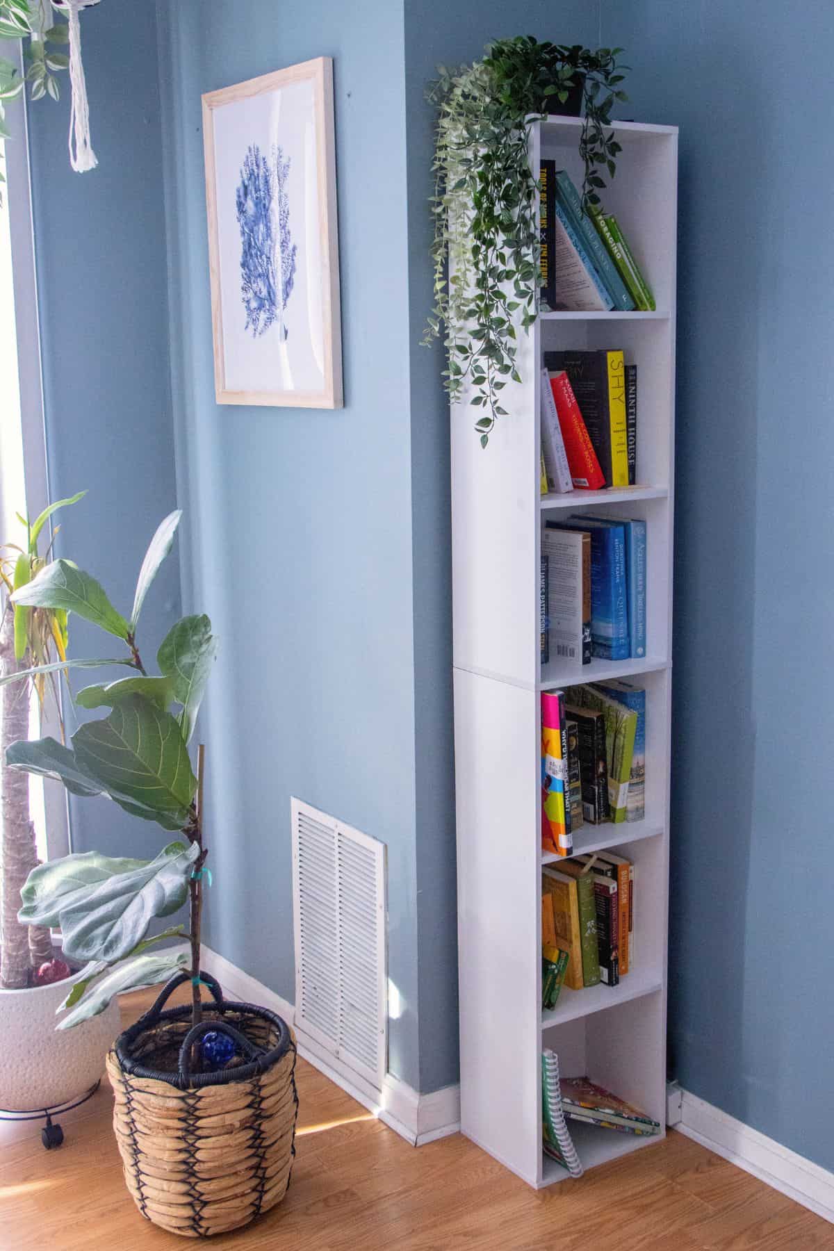 A tall white bookshelf filled with books and topped with a trailing plant stands against a blue wall near a potted plant and framed artwork.