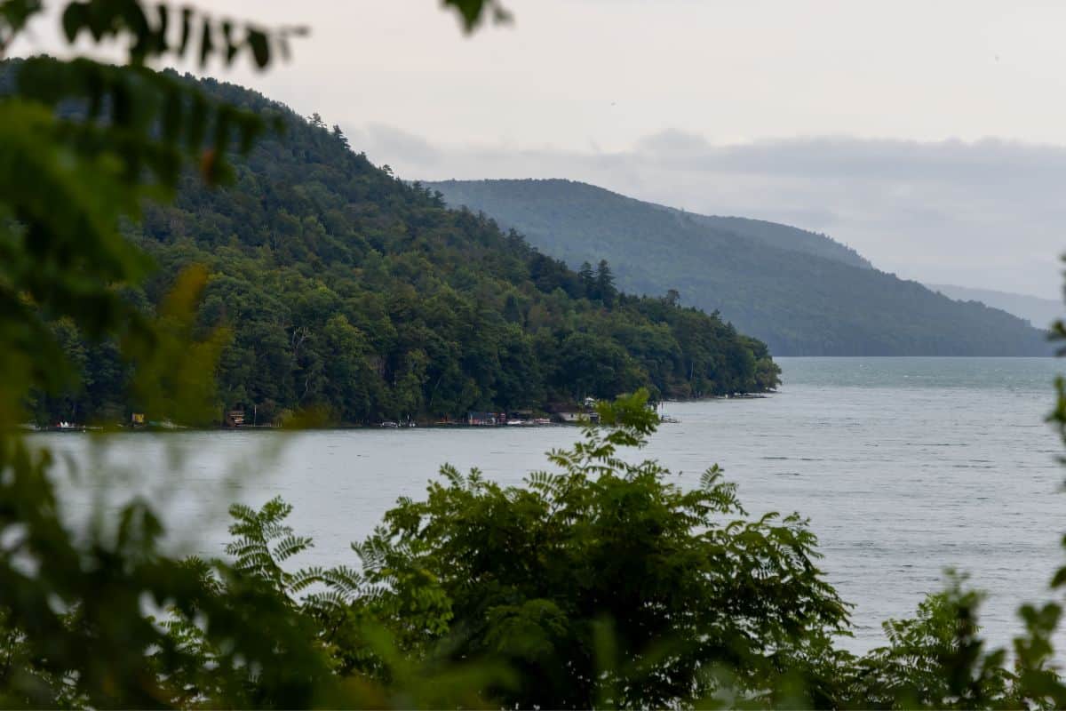 View of a tree-covered hillside along the edge of a lake, with water in the foreground and cloudy sky above.