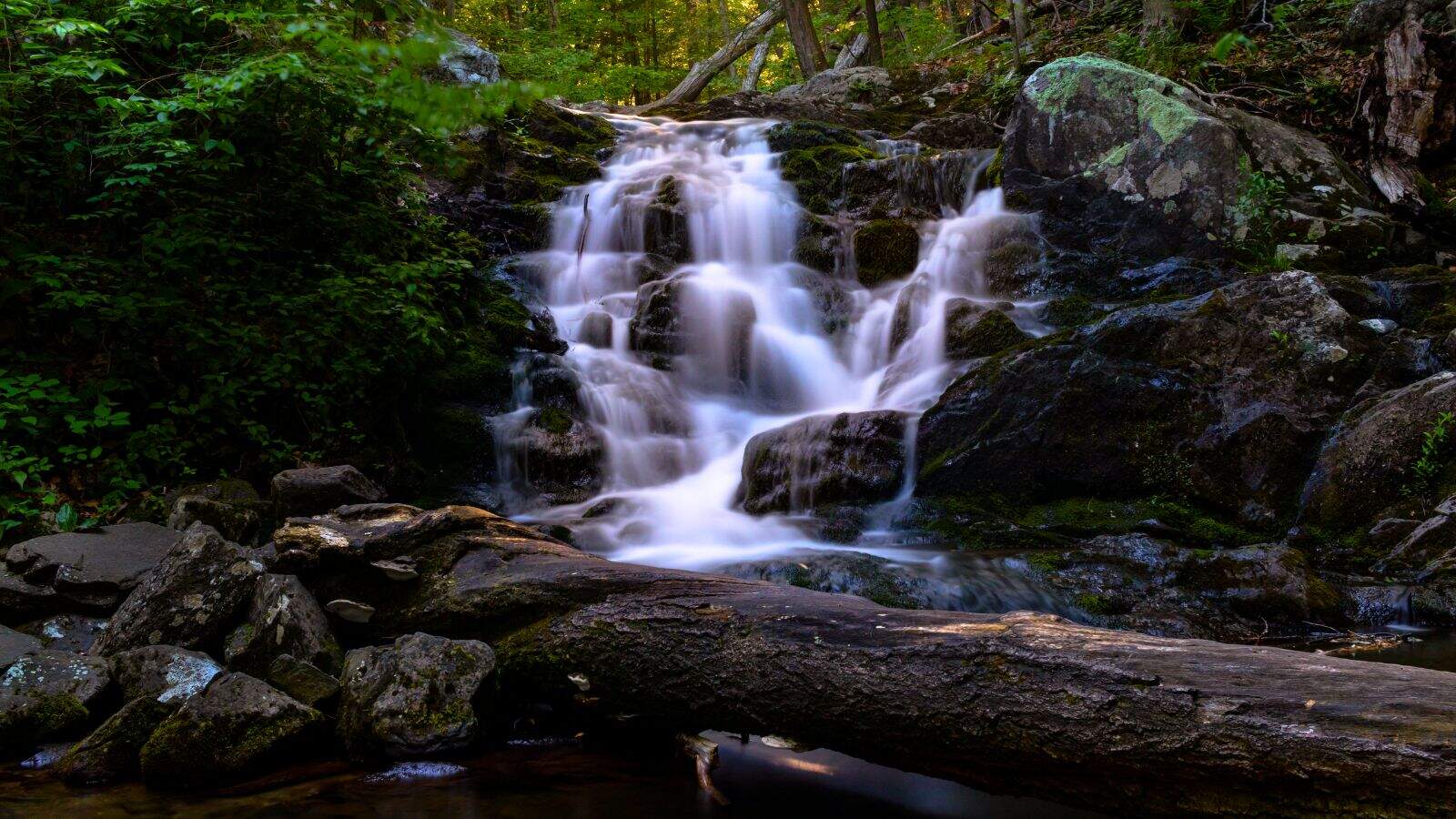 A small waterfall flows over rocks in a forested area, with a fallen tree trunk lying across the stream in the foreground.