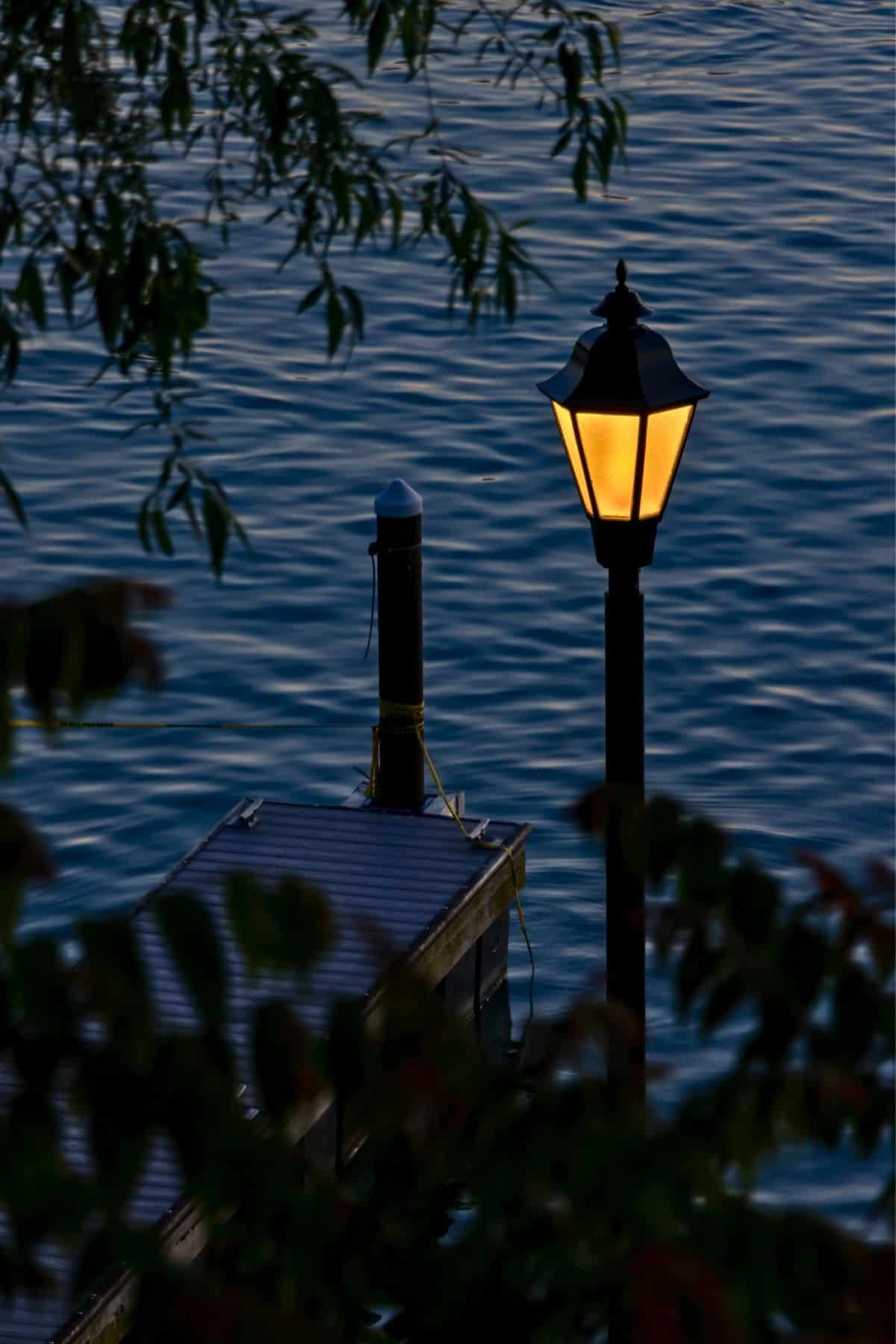 A lit streetlamp stands next to a dock on a body of water at dusk, with tree branches partially framing the scene.