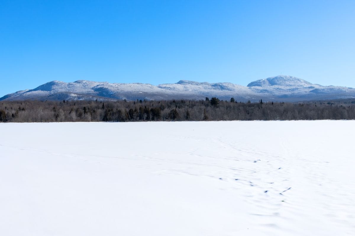 Snow-covered field in the foreground with a line of trees and mountains in the background under a clear blue sky.